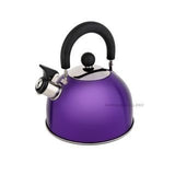 Renberg Induction Base Stainless Steel Whistling Kettle (2.25 Litres, Multicolour)