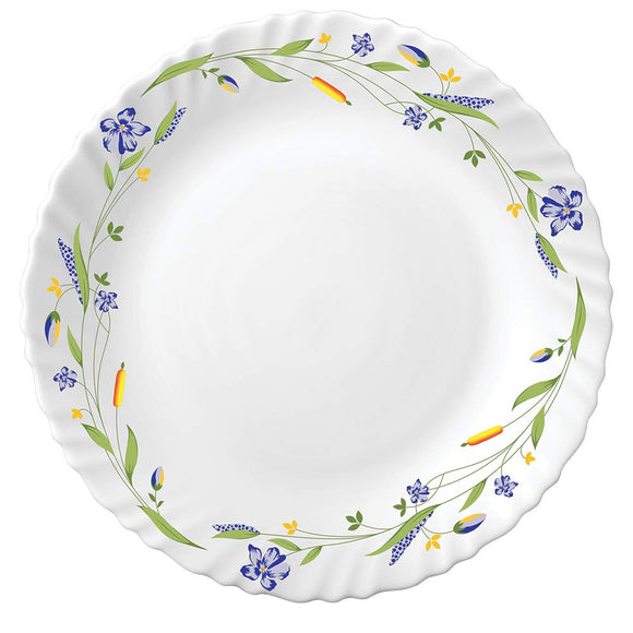 Diva By LaOpala 19-Pieces Opalware Dinner Set, Morning Glory