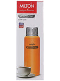 Milton Elfin Thermosteel Flask, 300ml (EC-TMS-FIS-0052_Silver)